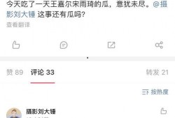 刘大锤正式爆料视频播放,揭秘视频播放背后的惊人真相