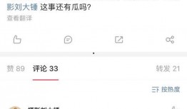 刘大锤正式爆料视频播放,揭秘视频播放背后的惊人真相