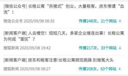 爆料新闻是什么意思,爆料新闻背后的真相与影响