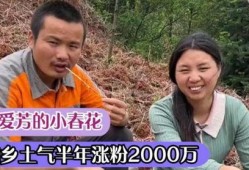 农村宝军邻居爆料视频,揭秘真实生活点滴