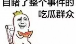 娱乐吃瓜君和七七铲屎官,揭秘娱乐圈与宠物界的趣味故事