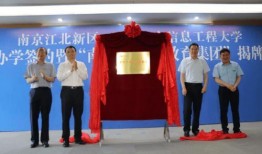 万国新区爆料最新消息,神秘项目即将揭开神秘面纱