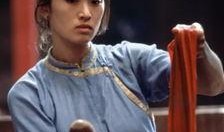 巩俐菊豆在线观看,情感纠葛与时代变迁交织