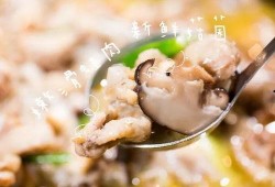 牛蛙爆料畸形视频,揭示生态危机下的惊人真相