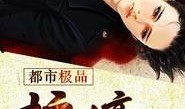护花高手在都市在线观看,花间英雄，都市传奇